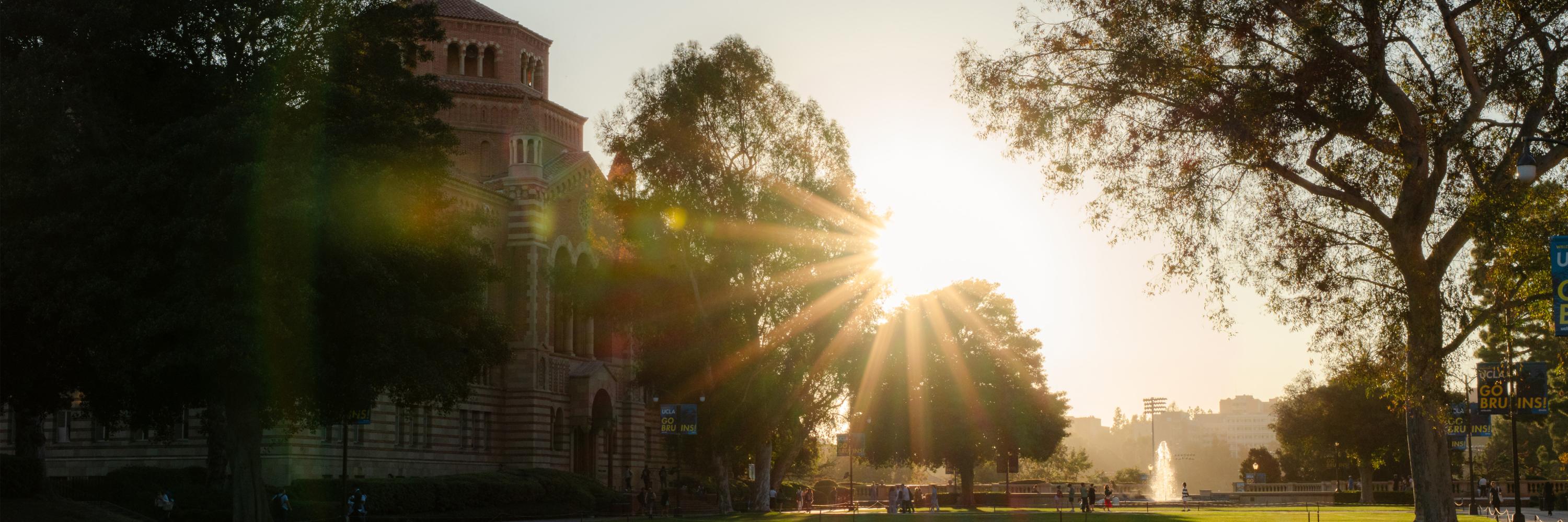 Photo of the sun shining through trees down on Powell Library and Shapiro Fountain